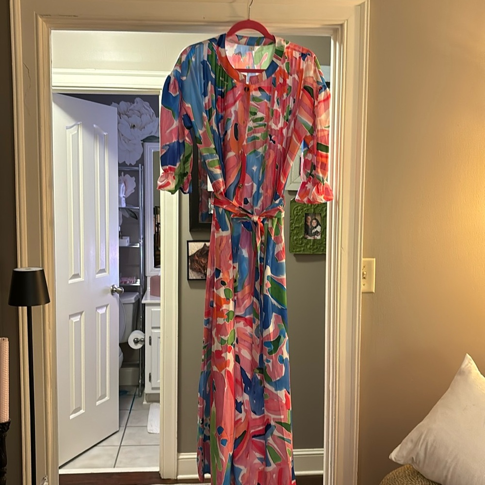The bright beautiful silky dress!